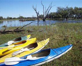 Marsh Meanders - Kempsey Accommodation 1