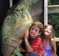 Australian Opal Centre - Kempsey Accommodation
