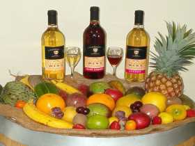 De Brueys Boutique Wines And Functions Venue - Kempsey Accommodation 0