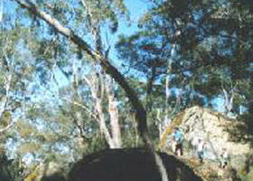Dergholm State Park - Kempsey Accommodation 0