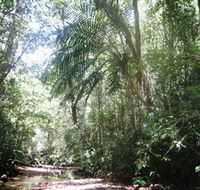 Mount Lewis National Park - Kempsey Accommodation