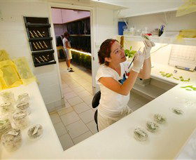 Australian Butterfly Sanctuary - Kempsey Accommodation 2