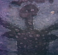 Quinkan Reserves Ancient Rock Art - Kempsey Accommodation