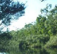 Crawford River Regional Park - Kempsey Accommodation