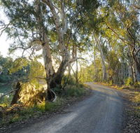 Alton Gallery - Echuca Moama Artists