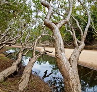 Oyala Thumotang National Park CYPAL - Kempsey Accommodation