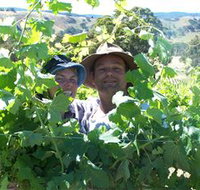Wimmera Hills Winery - Kempsey Accommodation