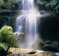 Mount Buangor State Park - Kempsey Accommodation
