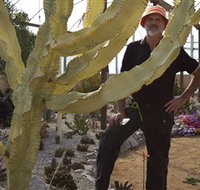 Cactus Country - Kempsey Accommodation