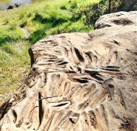 Terramungamine Rock Grooves - Kempsey Accommodation