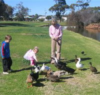 Roy Little Park Merredin - Kempsey Accommodation