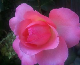 Abandon Stress Mobile Massage - Kempsey Accommodation 2