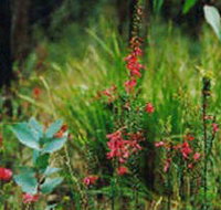 Enfield State Park - Kempsey Accommodation