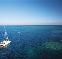 Bait Reef and Garys Lagoon Dive Site - Kempsey Accommodation