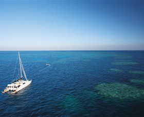 Bait Reef And Garys Lagoon Dive Site - Kempsey Accommodation 0