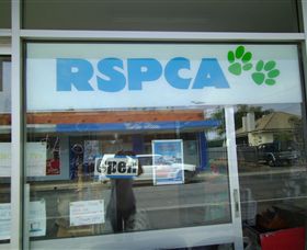 R.S.P.C.A Opportunity Shop - Kempsey Accommodation 0