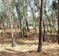 Chiltern-Mt Pilot National Park - Kempsey Accommodation