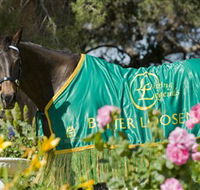 Living Legends The International Home of Rest for Champion Horses - Kempsey Accommodation