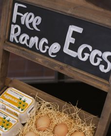 A Slice Of Orange - Kempsey Accommodation 1