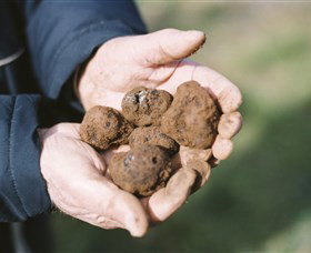 A Slice Of Orange - Kempsey Accommodation 0