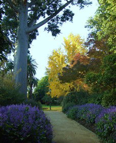 Albury Botanic Gardens - Kempsey Accommodation 4