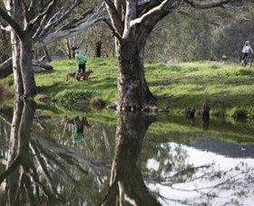 Albury - Murray River Precinct - Kempsey Accommodation 3