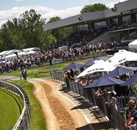 Thoroughbred Park Canberra Racing Club - Horse Racing in the Nations Capital - Kempsey Accommodation