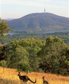 Canberra Centenary Trail - Kempsey Accommodation 0