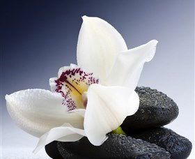 H2O Spa - Kempsey Accommodation 1