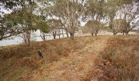 Lagoon Circuit Walking Track - Kempsey Accommodation 1