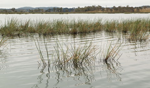 Lagoon Circuit Walking Track - Kempsey Accommodation 3