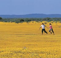Wildflowers of the Mid West - Kempsey Accommodation