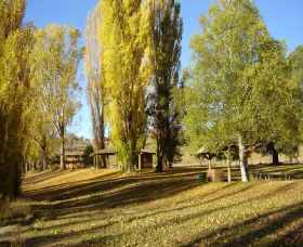 Gaden Trout Hatchery - Kempsey Accommodation 1