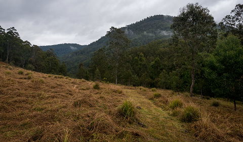 Nowendoc National Park - Kempsey Accommodation 1
