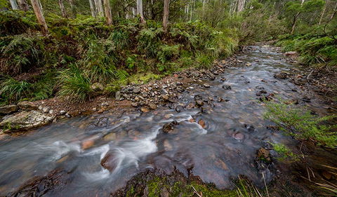 Nowendoc National Park - Kempsey Accommodation 3