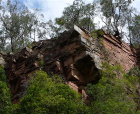 Mitchell River Walking Track - Kempsey Accommodation 2