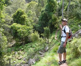 Mitchell River Walking Track - Kempsey Accommodation 1