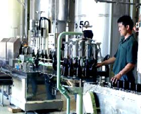 Sun Masamune Sake Brewery - Kempsey Accommodation 2