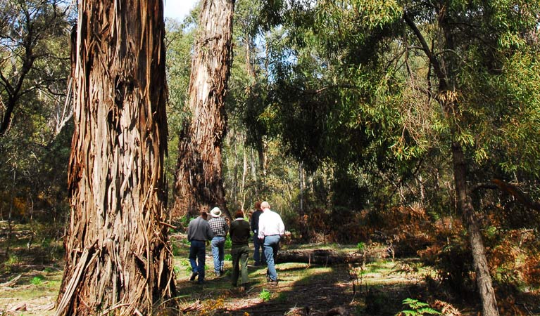 Araluen NSW Kempsey Accommodation
