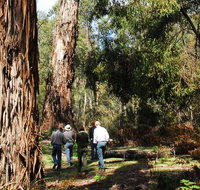 Tallaganda National Park - Kempsey Accommodation