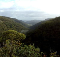 Nattai Gorge Lookout