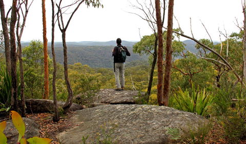 Mount Olive Lookout - Kempsey Accommodation 1