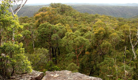 Mount Olive Lookout - Kempsey Accommodation 0