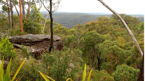 Mount Olive Lookout - Kempsey Accommodation 2