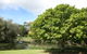 Hervey Bay Botanic Gardens - thumb 0