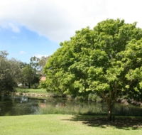 Hervey Bay Botanic Gardens - Kempsey Accommodation