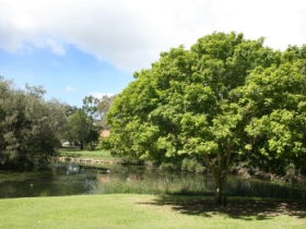 Hervey Bay Botanic Gardens - Kempsey Accommodation 0