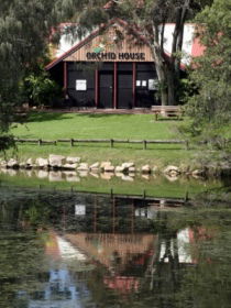 Hervey Bay Botanic Gardens - Kempsey Accommodation 1