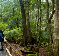 Monga National Park - Kempsey Accommodation