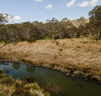 Werrikimbe National Park - Kempsey Accommodation